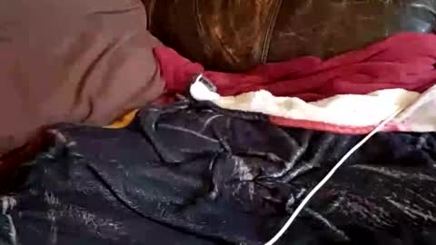 24cockrings online show from March 28, 5:58 pm