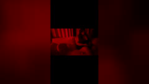2littlefox online show from June 7, 1:11 am