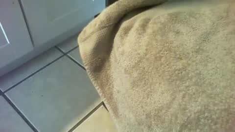 69forever453443 online show from January 16, 1:42 pm