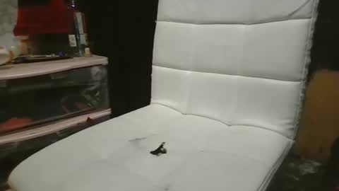 69meowxxx online show from November 3, 3:24 pm