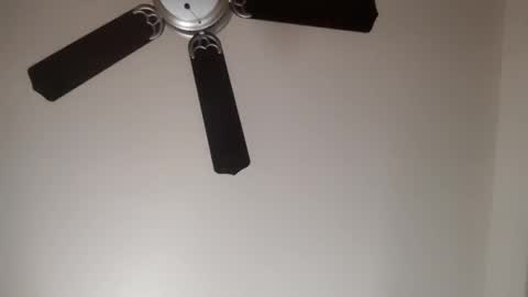 82ragnarok online show from January 31, 4:06 pm