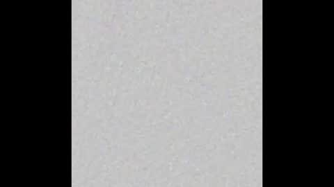 8Inchpunkpup online show from November 5, 3:36 pm