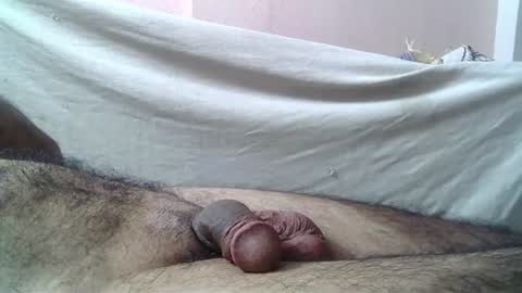 Massive hungry cock online show from June 19, 8:48 pm