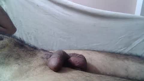 Massive hungry cock online show from June 29, 4:20 am