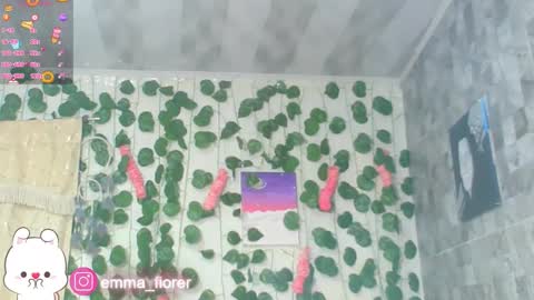 ask me  online show from November 10, 11:29 pm