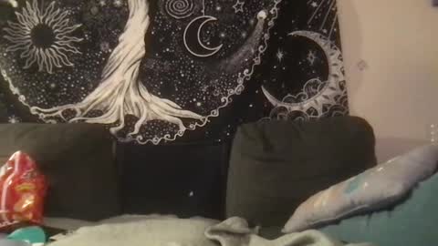 bandit online show from February 1, 2:05 am