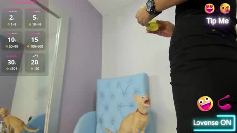  candy jade  online show from November 6, 12:19 pm