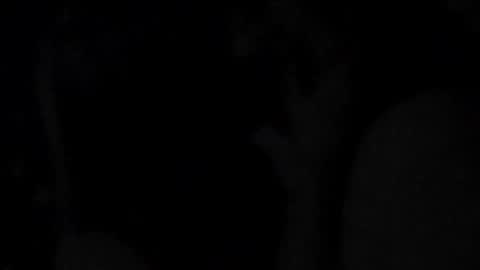 KENDALL  NATHAN MARRY  RYANPVT IS OPEN online show from October 28, 7:37 pm