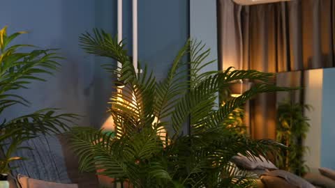 FANSLY ---   anal in private 700 tokens online show from November 15, 7:37 pm