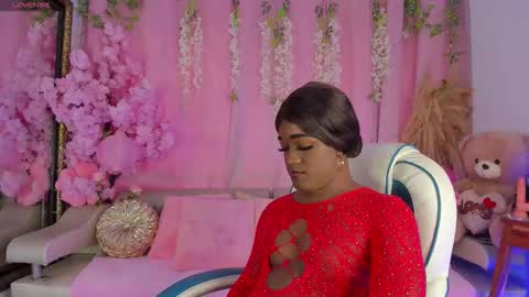 Sammy online show from November 11, 3:36 pm