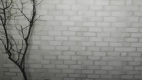 Snapshot of _snow_queen__ chatting on December 14, 1:27 pm Rachel online show from December 14, 1:27 pm