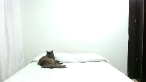 Sofia Parker online show from November 17, 11:18 pm