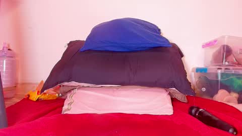 susy online show from November 1, 2:05 pm