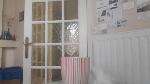 Aalex1717 online show from January 14, 8:44 am