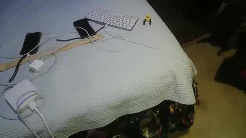 aCACiAs2022 online show from March 16, 2:15 am