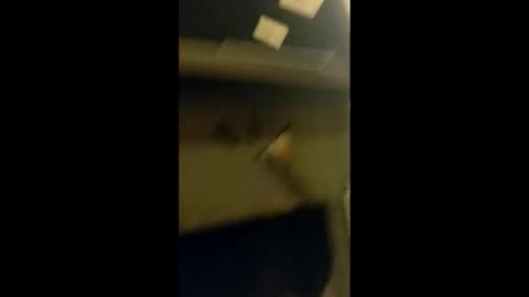 adam000985057 online show from January 31, 2:04 am