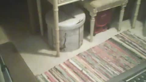 adamsny online show from October 15, 8:04 am