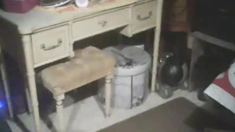 adamsny online show from January 15, 8:30 am