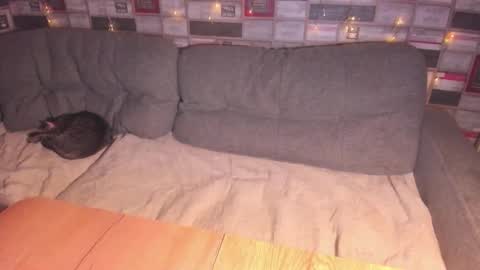 Victoria online show from April 12, 8:57 pm