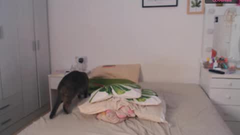 Kattt online show from October 23, 5:14 pm