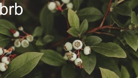 agata_in_wonderland online show from November 13, 1:47 pm