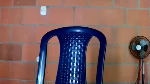 aisha koswell3 online show from January 12, 2:13 pm