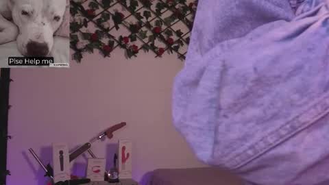 Alaia online show from December 5, 2:44 am