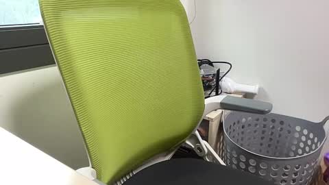 alanwu12 online show from February 13, 6:17 am