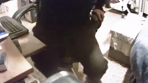 alex81pv1981 online show from December 8, 6:50 pm