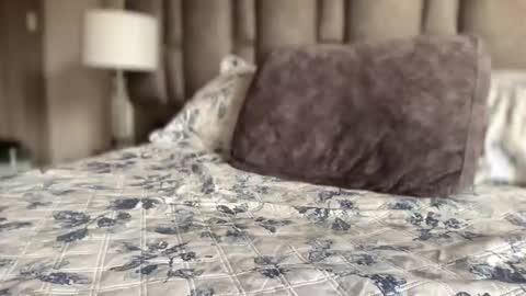 alexander grey online show from February 21, 1:58 pm