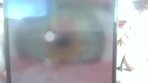 Alex online show from March 15, 5:45 am