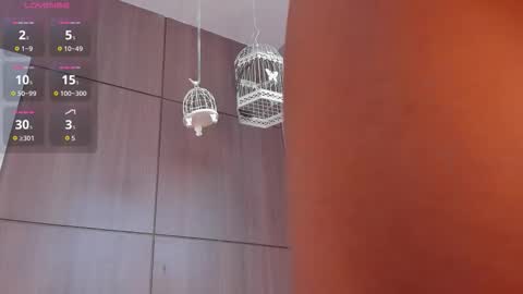  Ali online show from September 17, 2:09 pm