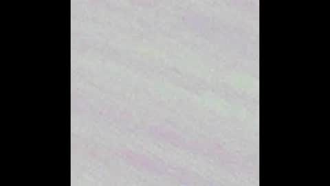 Ali online show from February 23, 11:23 am