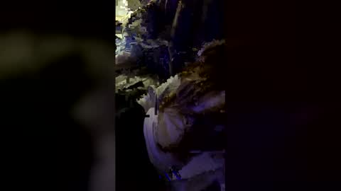 all_m3 online show from February 16, 10:35 am