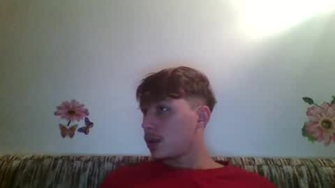 Snapshot of alldickshere chatting on October 4, 12:08 am alpha online show from October 4, 12:08 am