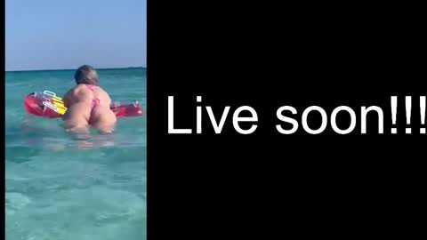 Allie online show from December 3, 5:41 am