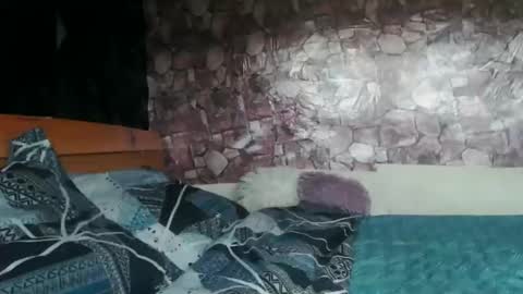 Almah online show from March 31, 9:43 am