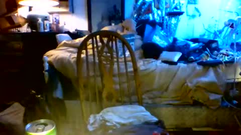 ambionce online show from April 15, 2:48 am