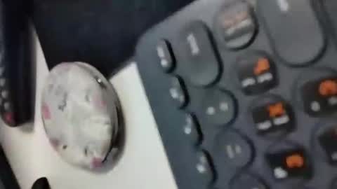 Mila online show from November 4, 8:54 pm