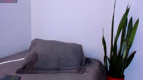 ammy online show from November 18, 2:20 pm