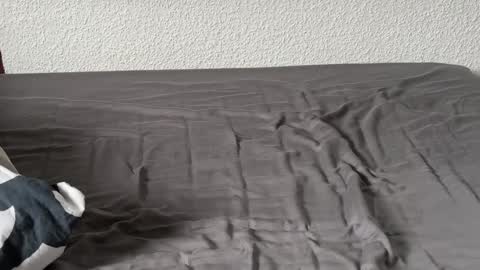 amowi online show from March 14, 11:47 am