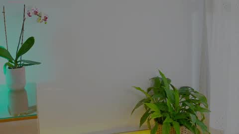 anabelcurvy online show from May 24, 10:00 am