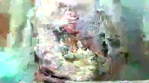 anacarada online show from February 24, 12:30 pm