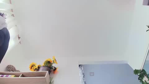 ana  online show from October 29, 1:24 pm