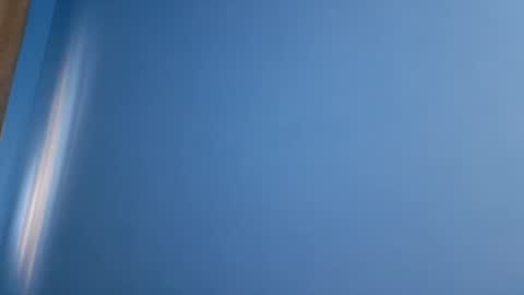 And 16.8 online show from November 19, 8:24 am