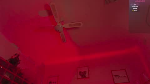 Andre Cole online show from February 10, 5:36 am