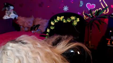 andreeajj online show from February 6, 8:55 pm