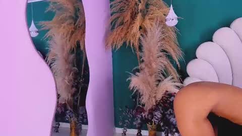 Snapshot of aneesaval chatting on February 9, 6:58 pm ANEE SAVAL online show from February 9, 6:58 pm