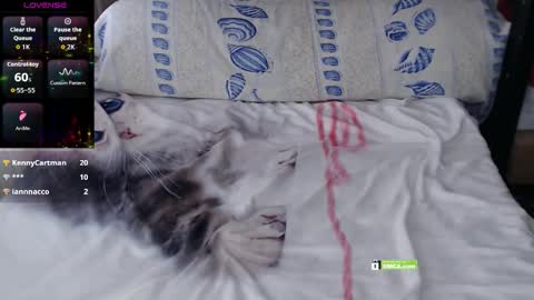 Angelina online show from October 29, 11:23 am