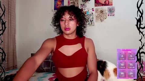   online show from January 21, 2:43 am